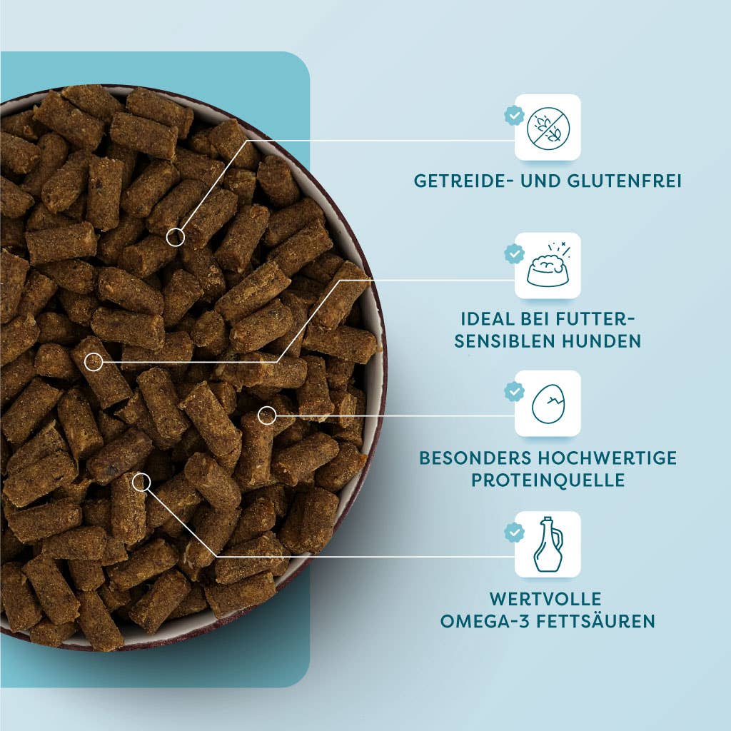 Dr SAM Lachs Softies jutalomfalat kutyáknak - 100% természetes anyagok