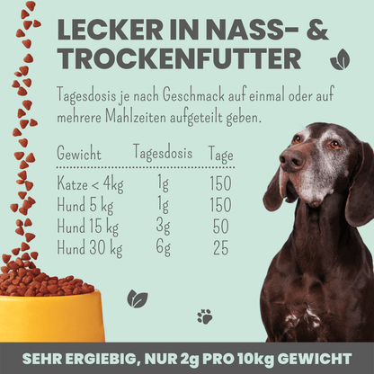 Ízületvédő por kutyáknak és macskáknak – adagolási útmutató