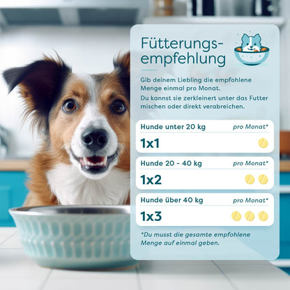 wufit Dog emésztést támogató gyógynövényes kiegészítő kutyáknak - egyszerű adagolás