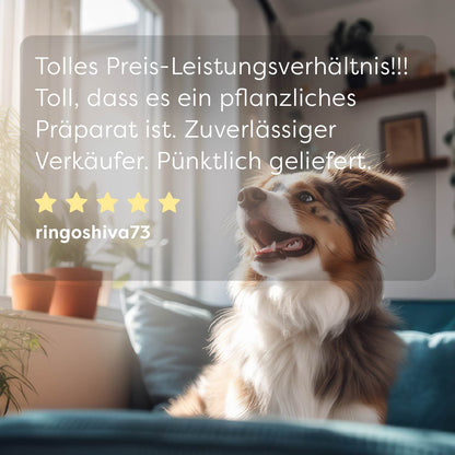 Dr. SAM wufit Dog gyógynövényes tabletta kutyáknak - ötcsillagos vélemény