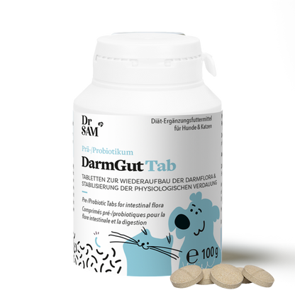 Dr SAM DarmGut Tab doboz és tabletták közelről - pre és probiotikum kutyáknak és macskáknak