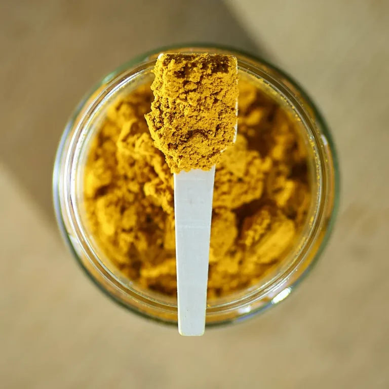 Golden Paste kutyáknak és macskáknak – 100% természetes étrend-kiegészítő kurkumával