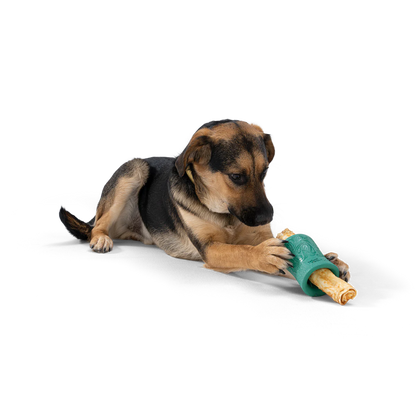 West Paw Funnl jutalomfalattal tölthető kutyajáték