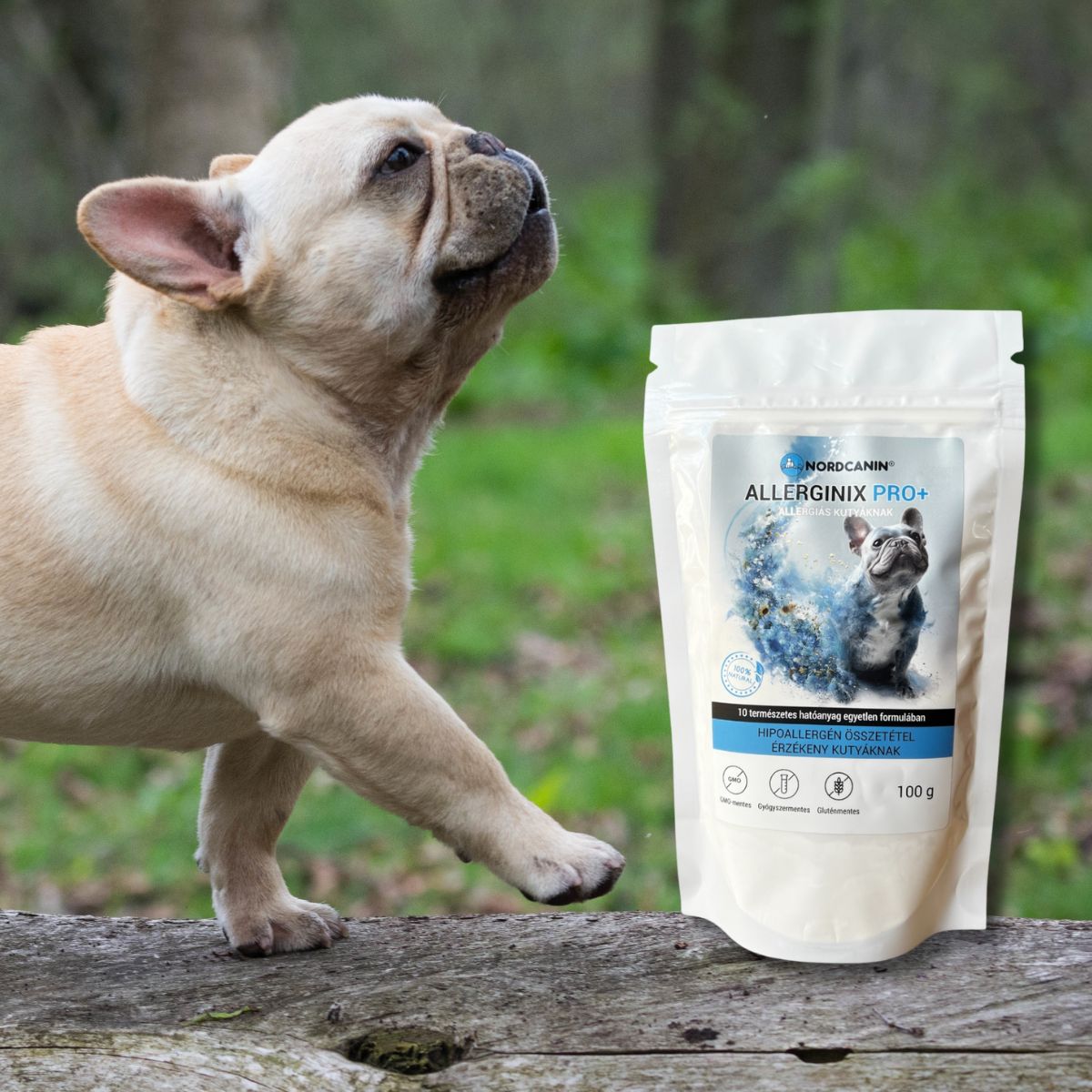 Allerginix PRO+ - táplálékkiegészítő allergiás kutyáknak - allergiára hajlamos francia bulldog kutyával