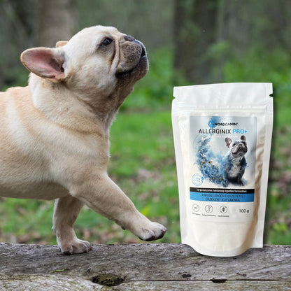 Allerginix PRO+ - táplálékkiegészítő allergiás kutyáknak - allergiára hajlamos francia bulldog kutyával