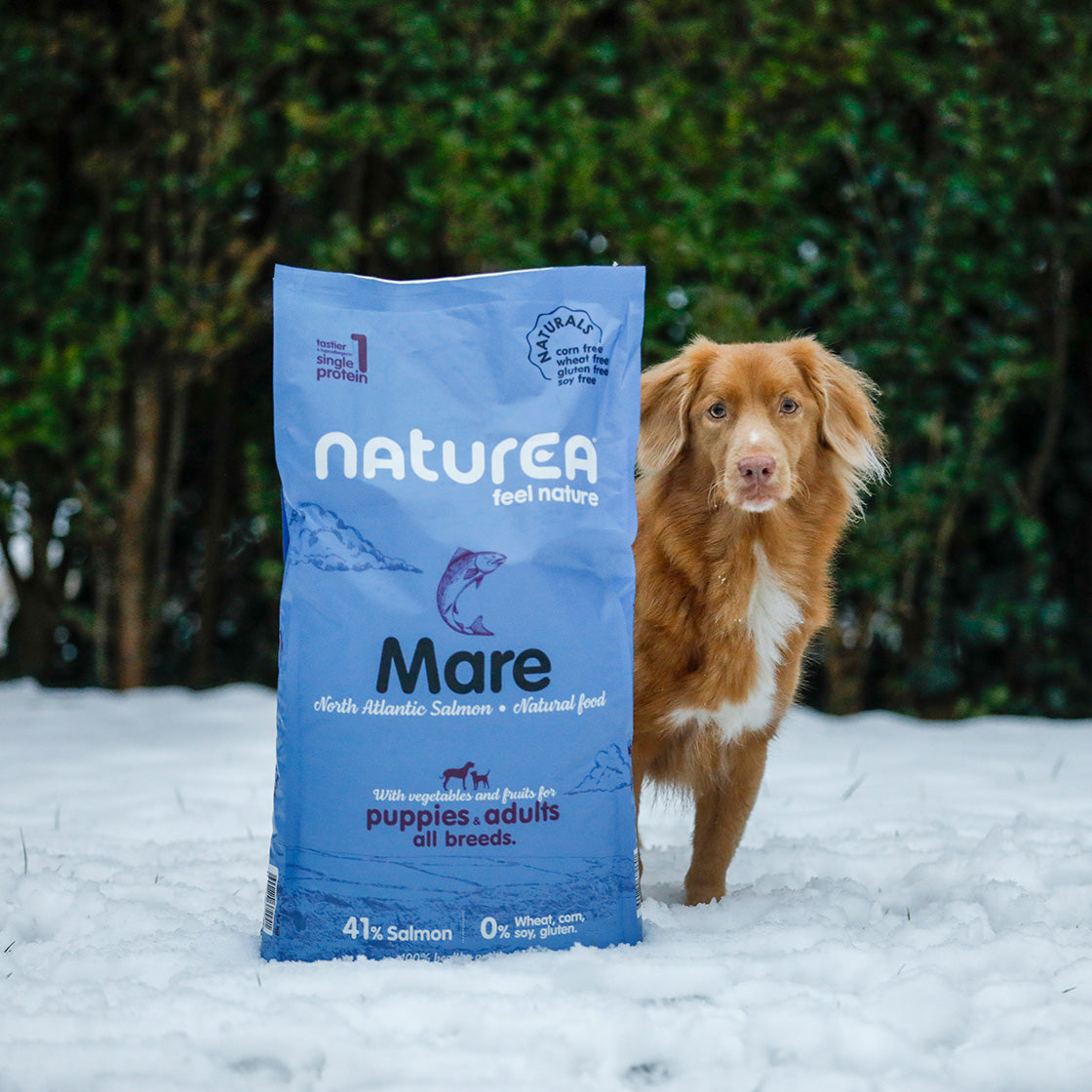 naturea mare pémium kutyaeledel