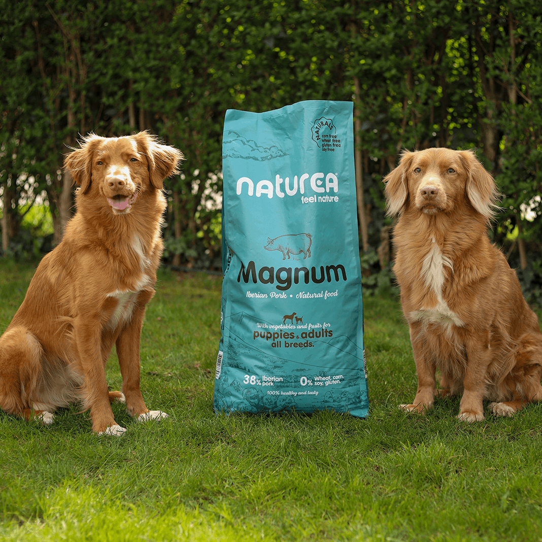 Naturea Magnum - kutyaeledel ibériai sertéshúsból nagytestű kutyáknak