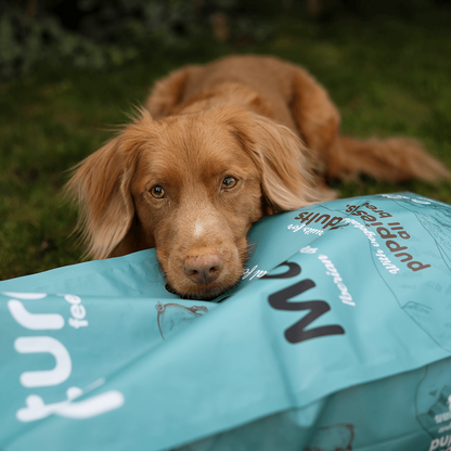 Naturea Magnum - kutyaeledel ibériai sertéshúsból nagytestű kutyáknak