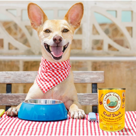 kutya-cookas-real-duck-nedvestap-etetes-kozben