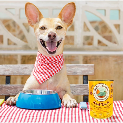 kutya-cookas-real-duck-nedvestap-etetes-kozben