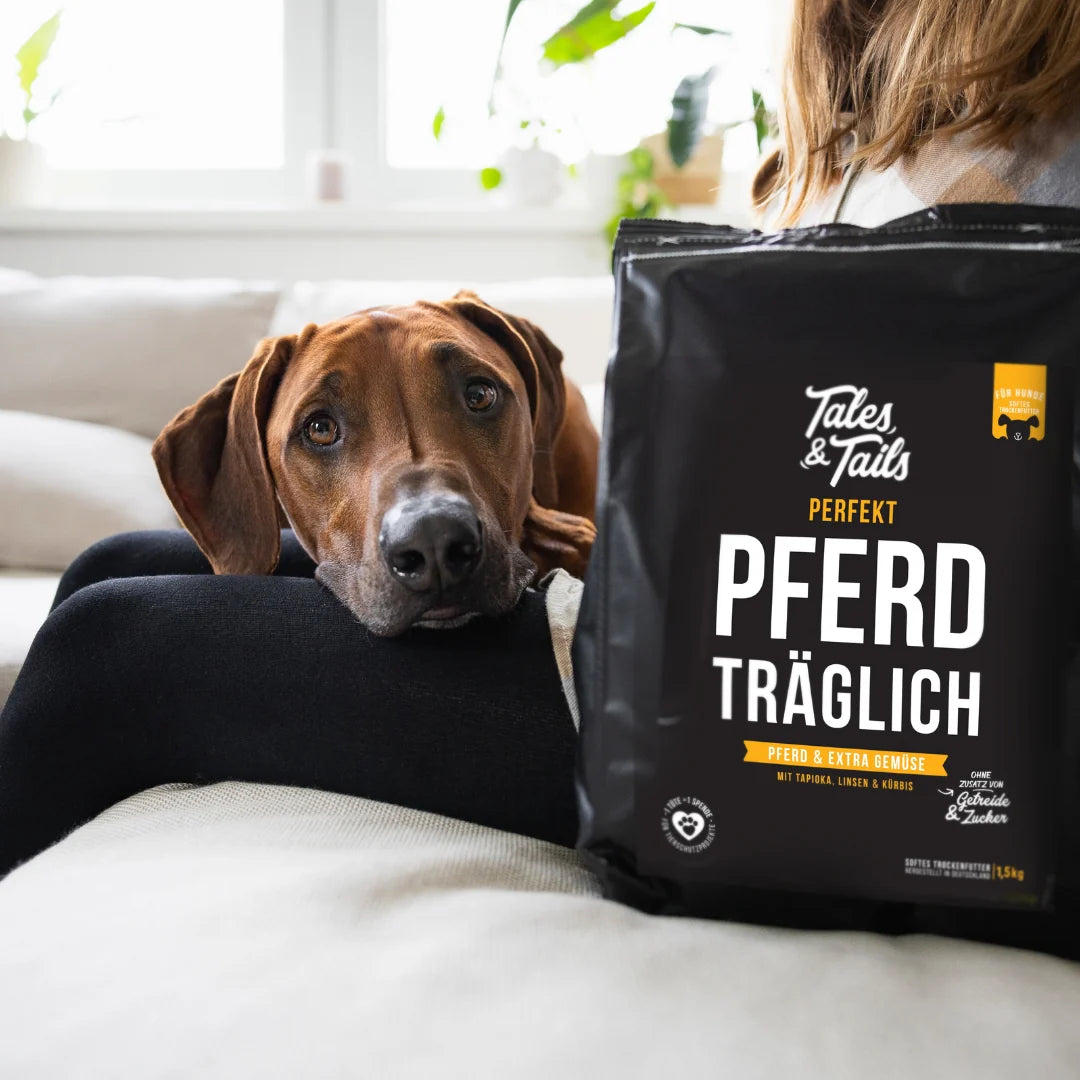 Tales & Tails félnedves táp felnőtt kutyáknak - Lóhús - 1,5kg