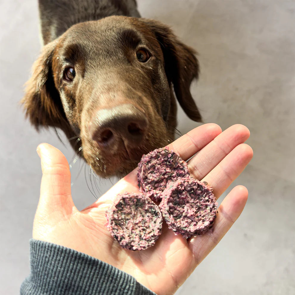 Vitbit Collagen Crackers eperrel 70g – Prémium halas kollagén jutalomfalat