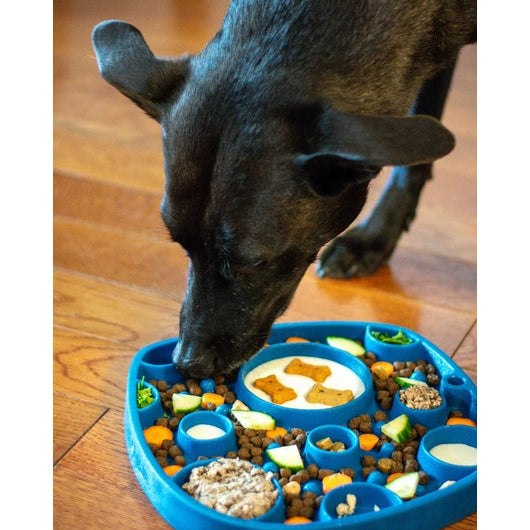 West Paw™  Feast Mat 2in1 Slow Feeder és Lick Mat Kutyáknak - Bubble