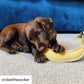Barry a banán - kutyajáték