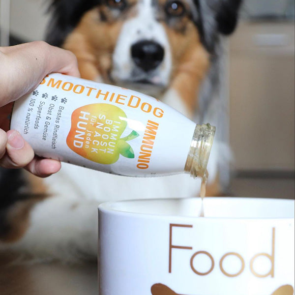 Smoothiedog - Immunio marhás smoothie menü kutyáknak