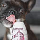 Smoothiedog - lóhús smoothie allergiás kutyáknak