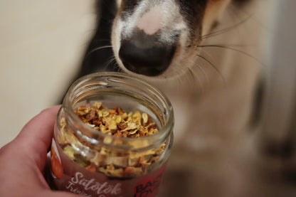 Barf Love - Sütőtök tréning snack kutyáknak