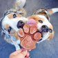 Smoothiedog - lóhús smoothie allergiás kutyáknak