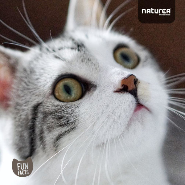 Naturea Naturals Lazac Száraztáp Kölyök & Felnőtt Macskáknak 2kg