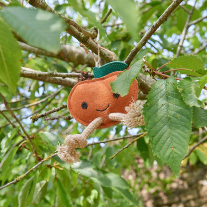 Sancho a mandarin - öko kutyajáték