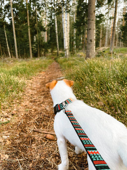 Woolly Wolf WOODLAND póráz