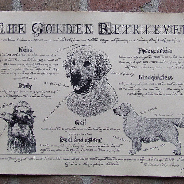 Kutyafajták leírása grafikával merített papíron