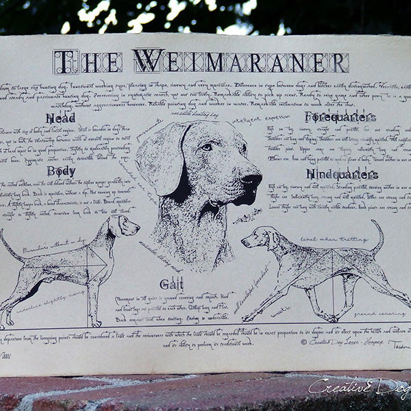 Kutyafajták leírása grafikával merített papíron